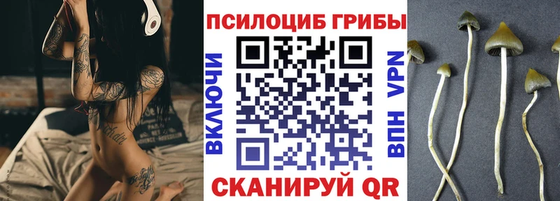 Псилоцибиновые грибы ЛСД  Междуреченск 