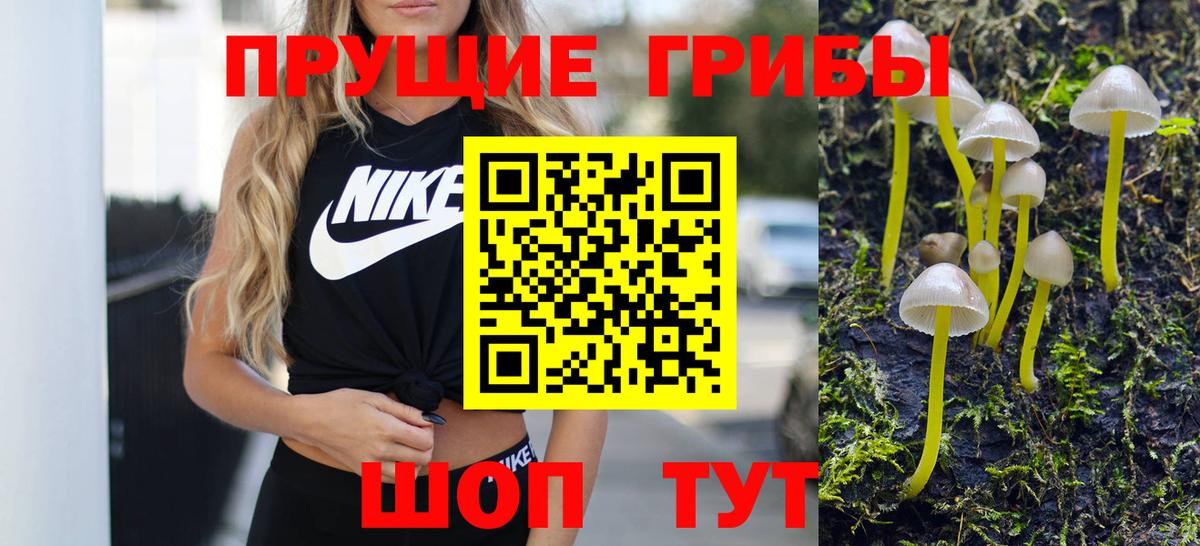 Междуреченск  как найти закладки  Вход с VPN  Галлюциногенные грибы Psilocybe 